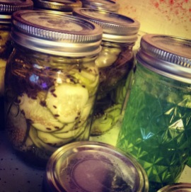Some finalized basil jelly and dill pickles